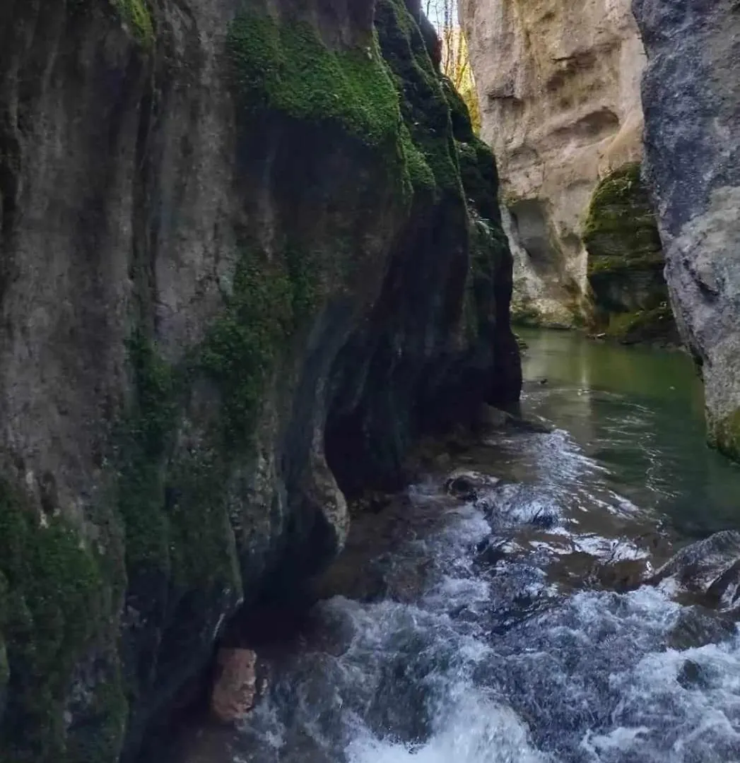 Gite Le Belvedere Au Refuge Du Phoenix, Echevis フランス