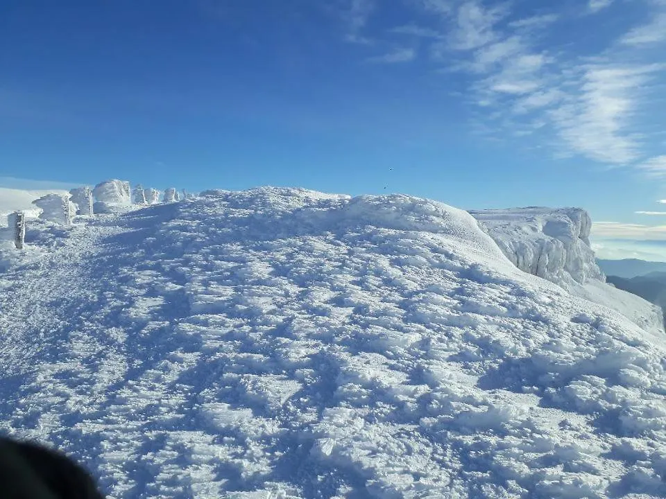 Gite Le Belvedere Au Refuge Du Phoenix, Echevis アパート